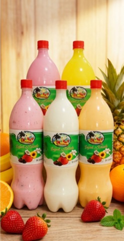 Yogurt Natural Frutado